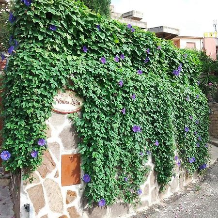 B&B Nonna Luisa Tarquinia Bagian luar foto